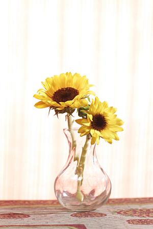 テレビボードを通販サイトで購入