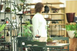 和風の家具で落ち着いた生活を彩る