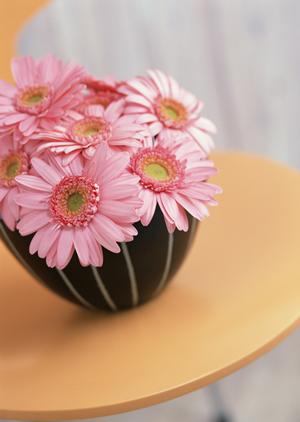 カーテンやブラインド 窓辺のオシャレを楽しむ